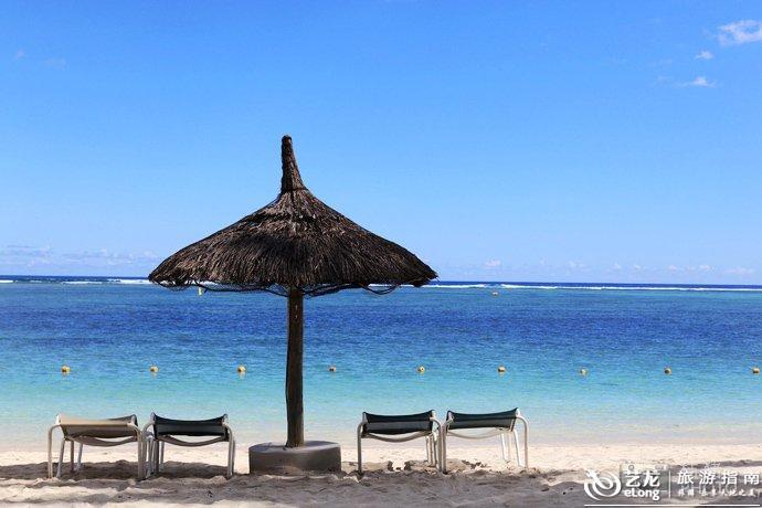 （经济观察）多领域“开花”  中国经济新动能加速成长