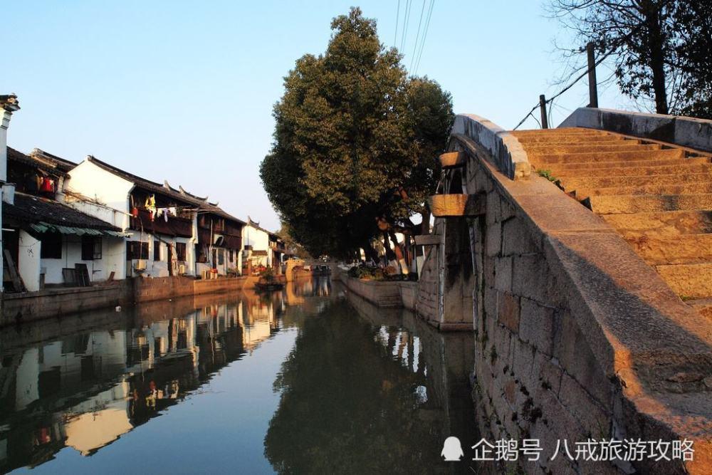 “龙行龘龘，前程朤朤”，九圣源医疗科技资本战略发布仪式盛大召开